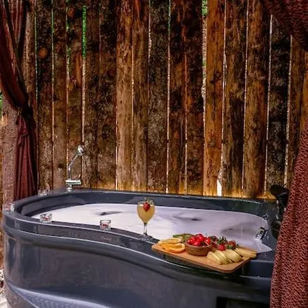 Atmosfer Dağ Evi * Sapanca